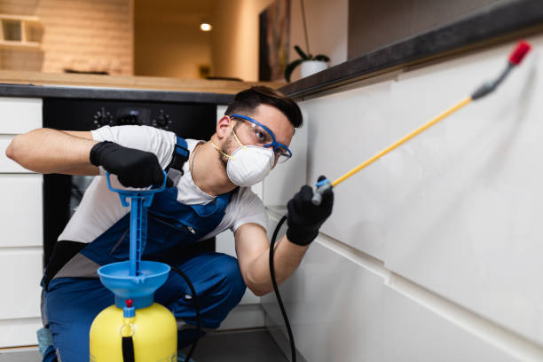 Best Mosquito Control Services  in Northampton, PA