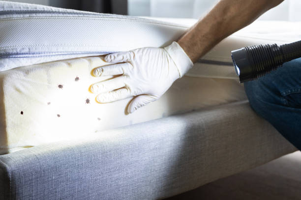 Reliable Northampton, PA Pest Control Solutions