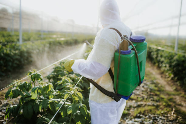 Best Residential Pest Control  in Northampton, PA